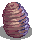 Pupa