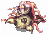 Mandragora