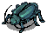 Thief Bug Male