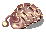 Caterpillar