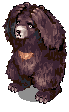 Zipper Bear