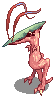 Novus