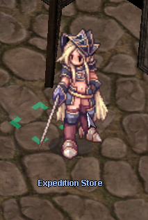 Expedition Store
